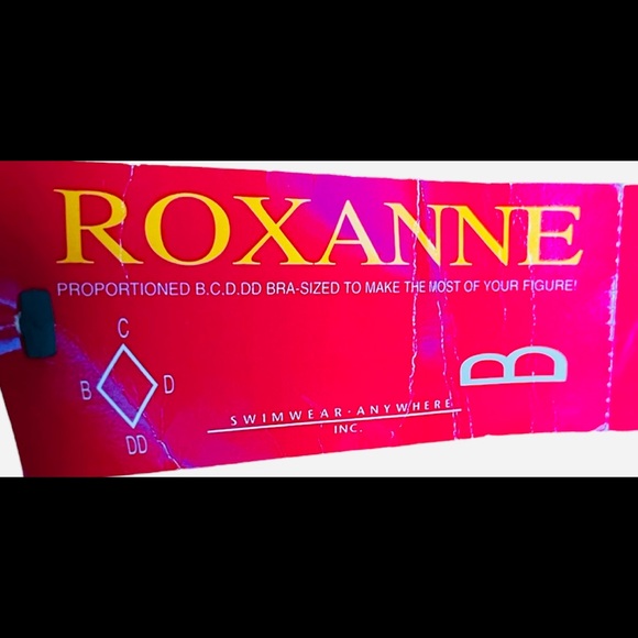 New! Vintage Roxanne Bra-Sized Saphire V Surplice One Piece Swimsuit | Size 36B - Picture 4 of 5